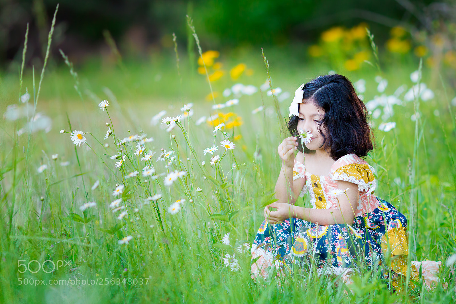 Canon EOS 70D sample photo. Edit photography