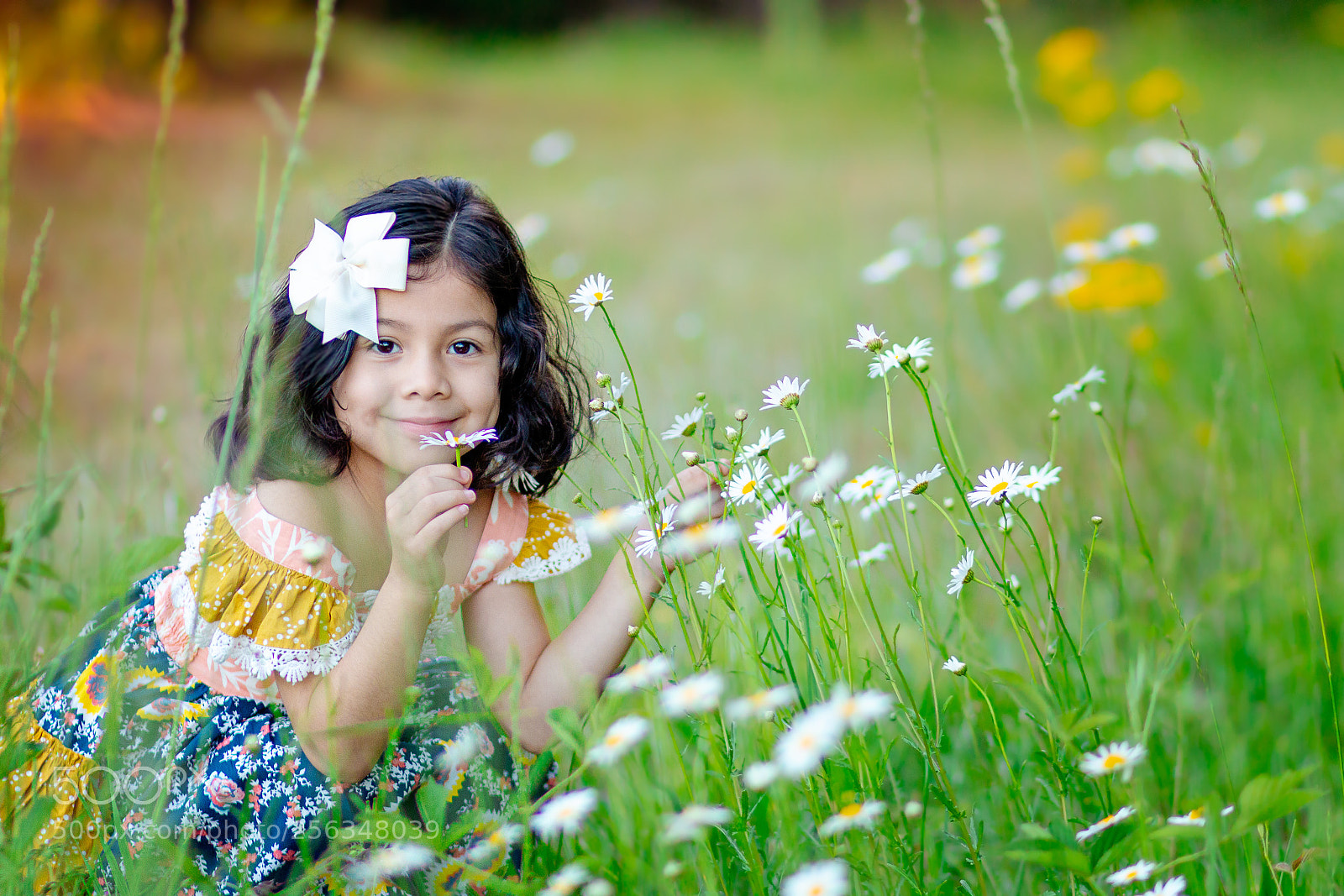 Canon EOS 70D sample photo. Edit photography