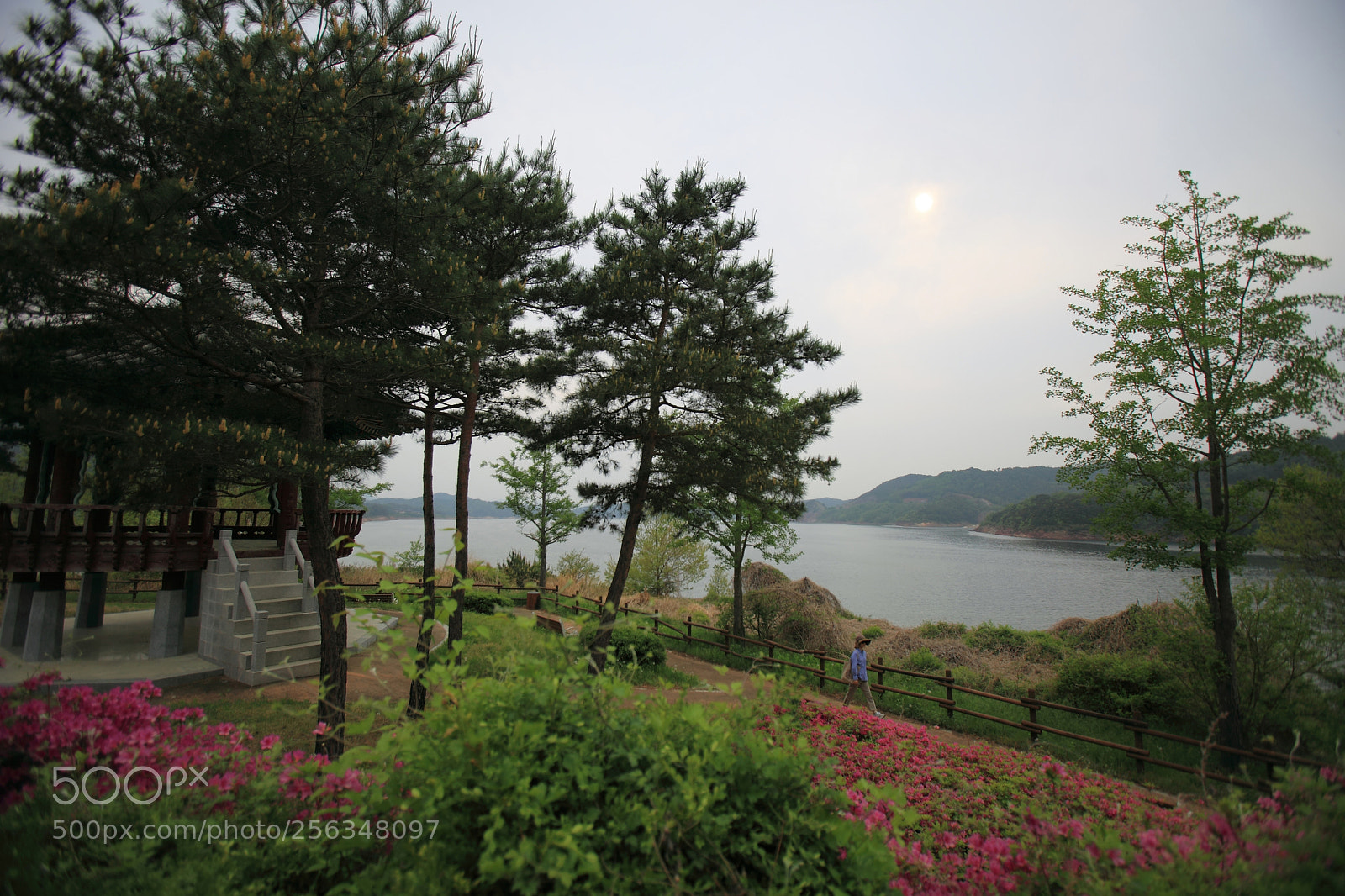 Canon EOS 5D Mark II sample photo. Riverside park photography