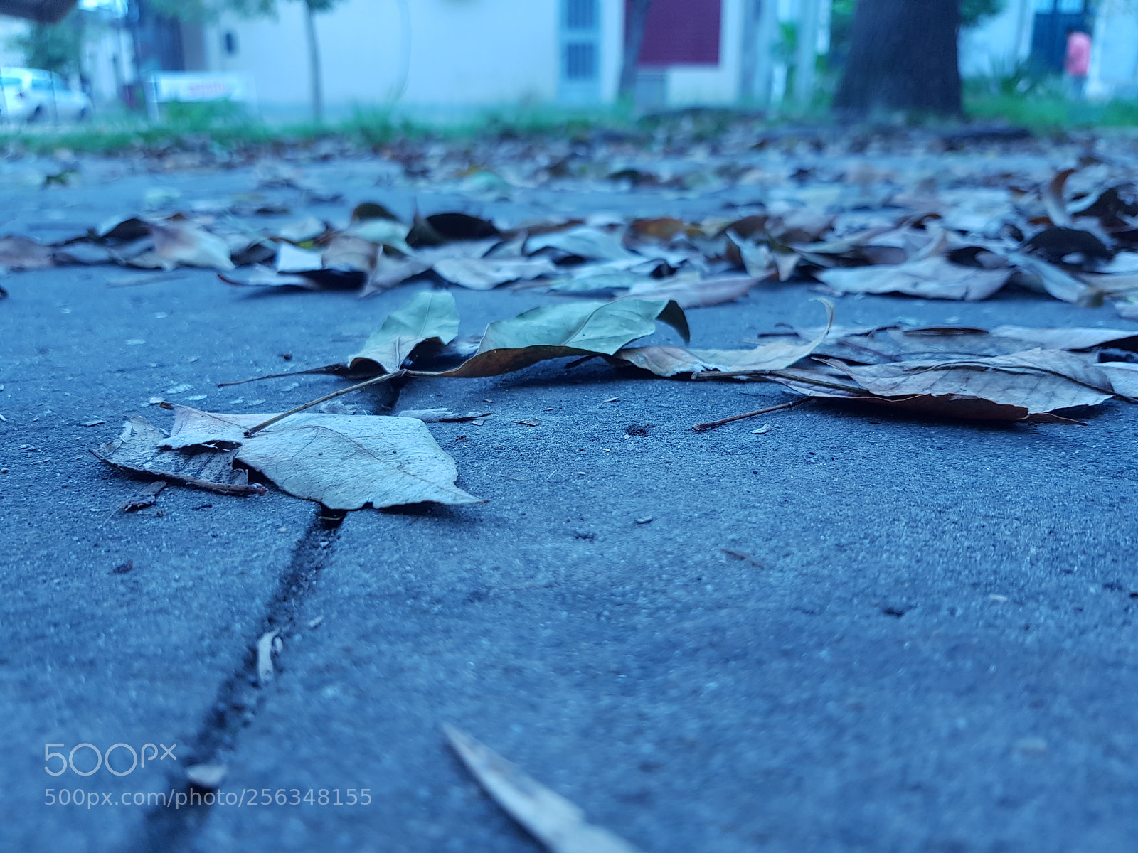 Samsung Galaxy S8 sample photo. Untitled photography