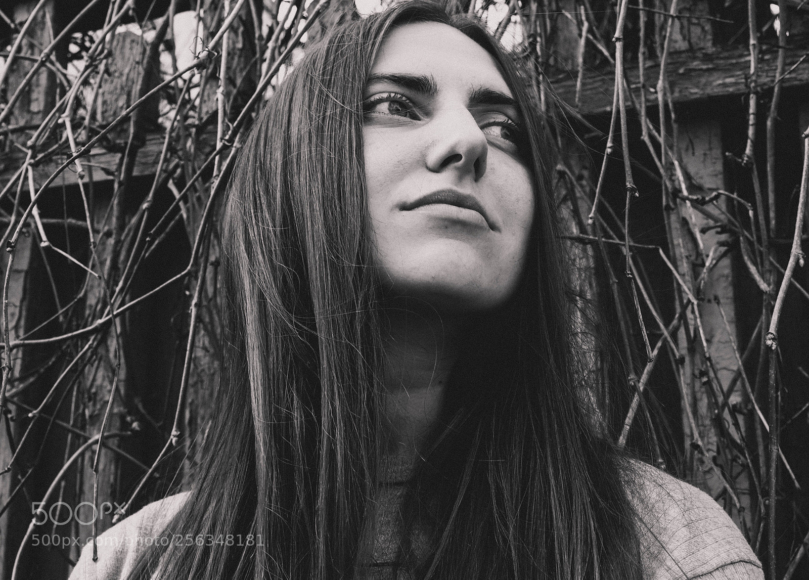 Olympus PEN E-PL5 sample photo. Dasha photography