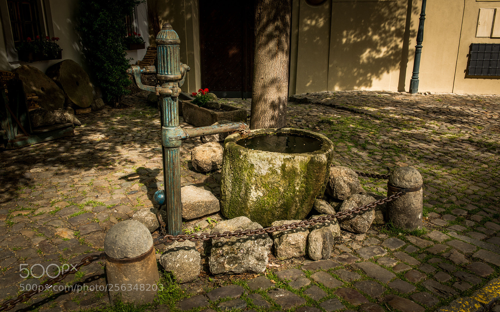 Nikon D800 sample photo. Pumpa photography