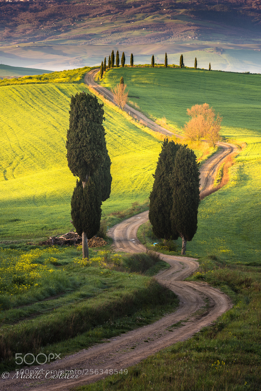 Nikon D810 sample photo. Toscana photography