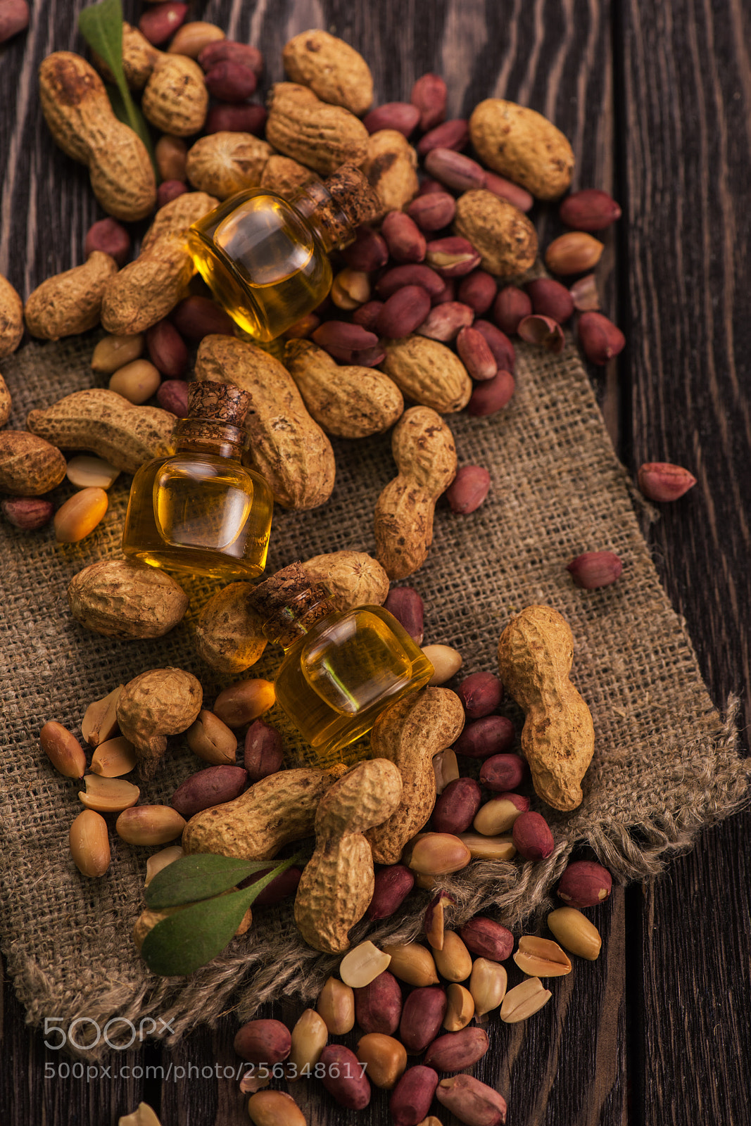 Nikon D810 sample photo. Natural peanut with oil photography
