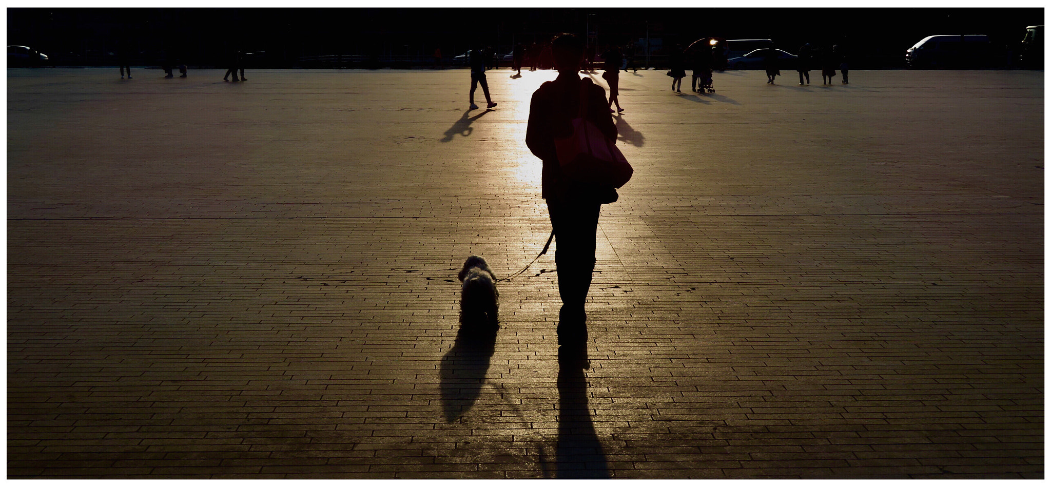 Canon PowerShot SX730 HS sample photo. Woman and her dog photography