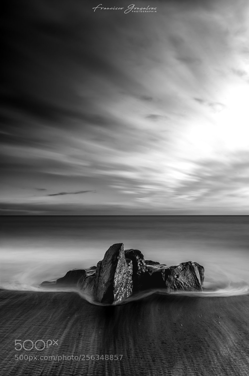 Nikon D810 sample photo. Motion stalker photography