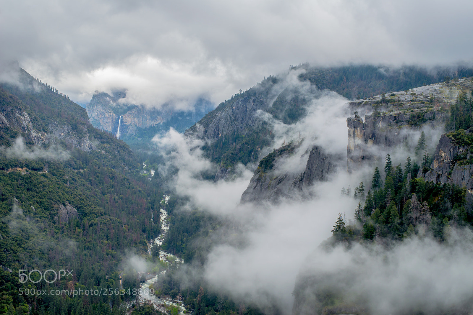 Nikon D610 sample photo. Into the fog photography