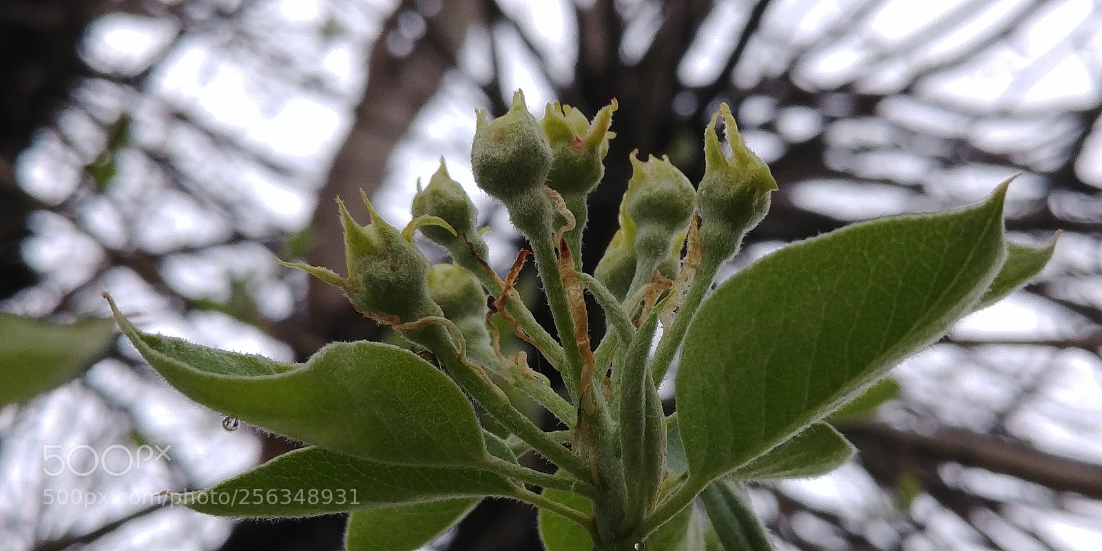LG G6 sample photo. And it starts. . . photography