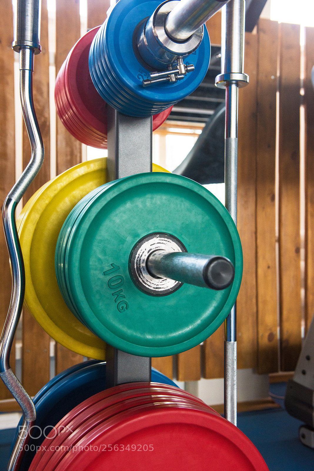 Nikon D810 sample photo. At the fitness modern photography