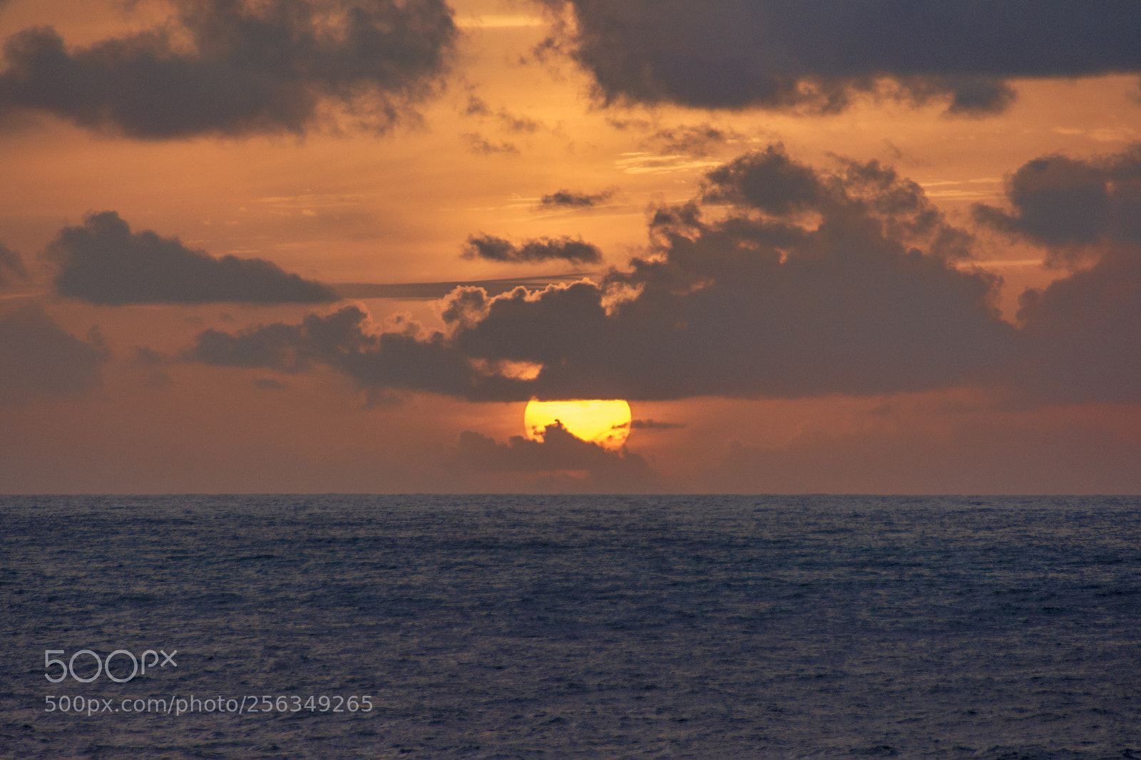 Nikon D5200 sample photo. Vacation, see you in photography