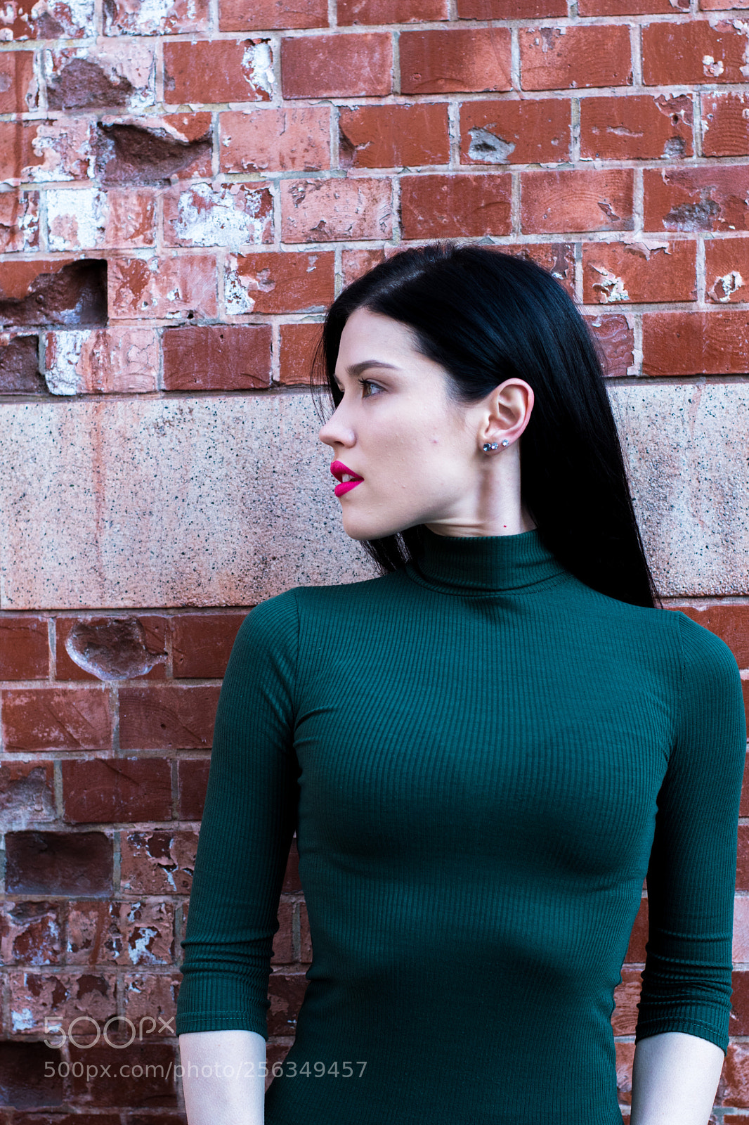 Nikon D5500 sample photo. Another brick in the photography