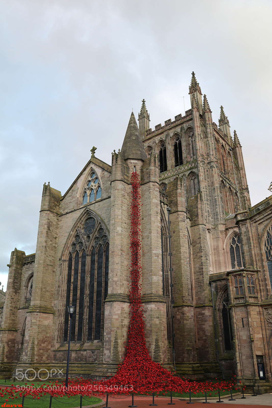 Canon EOS 80D sample photo. Weeping window photography