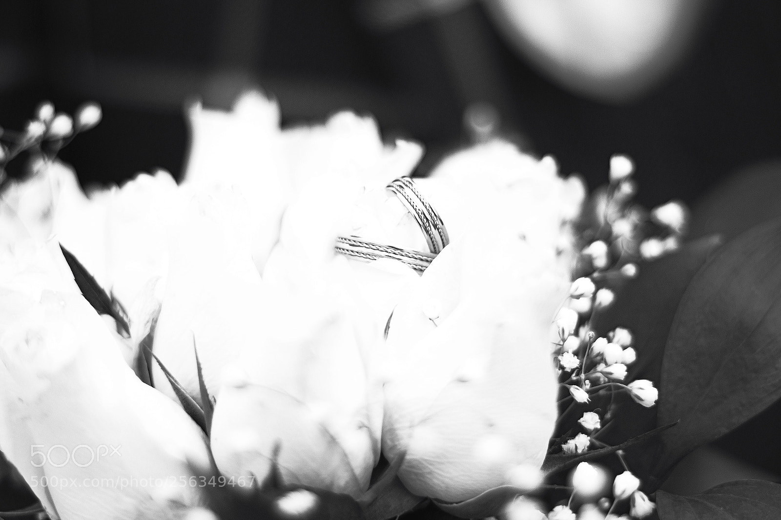 Canon EOS 70D sample photo. Wedding rings photography