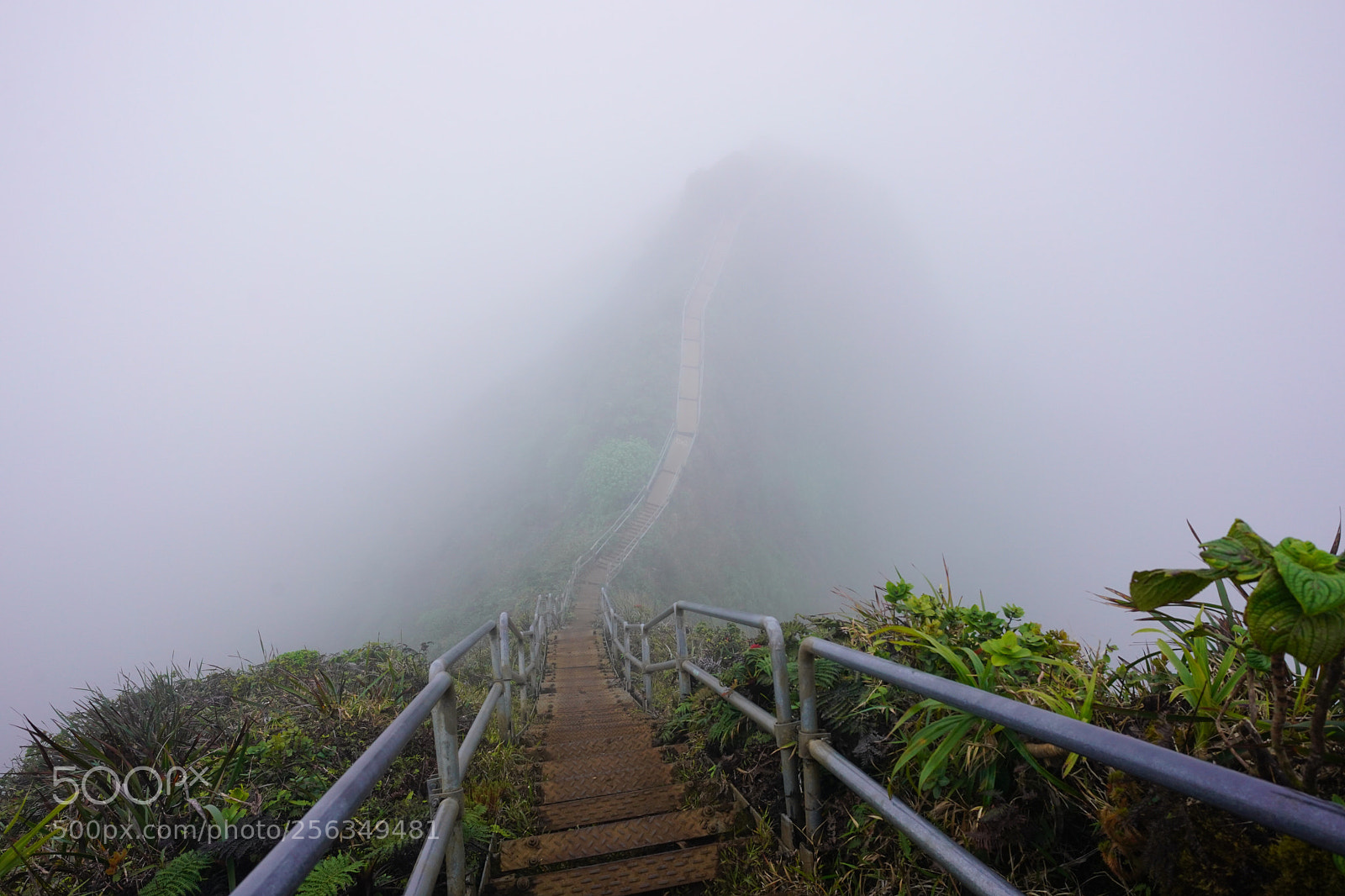 Sony a9 sample photo. Stairway to heaven  photography