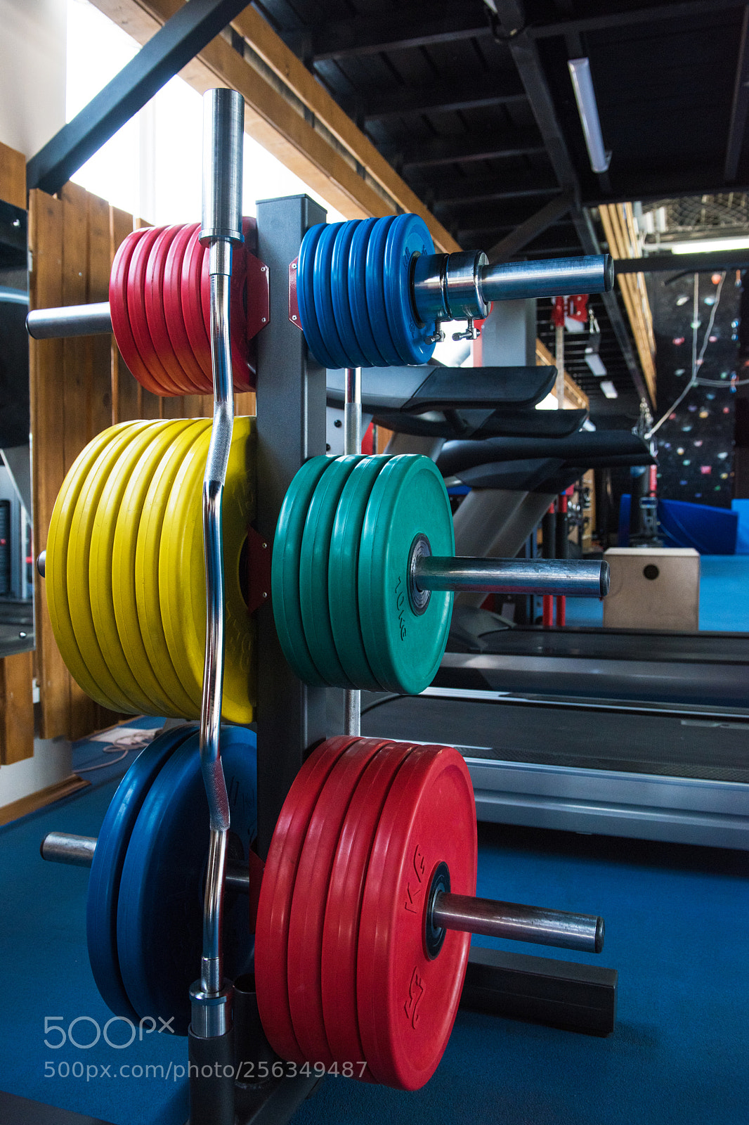 Nikon D810 sample photo. At the fitness modern photography