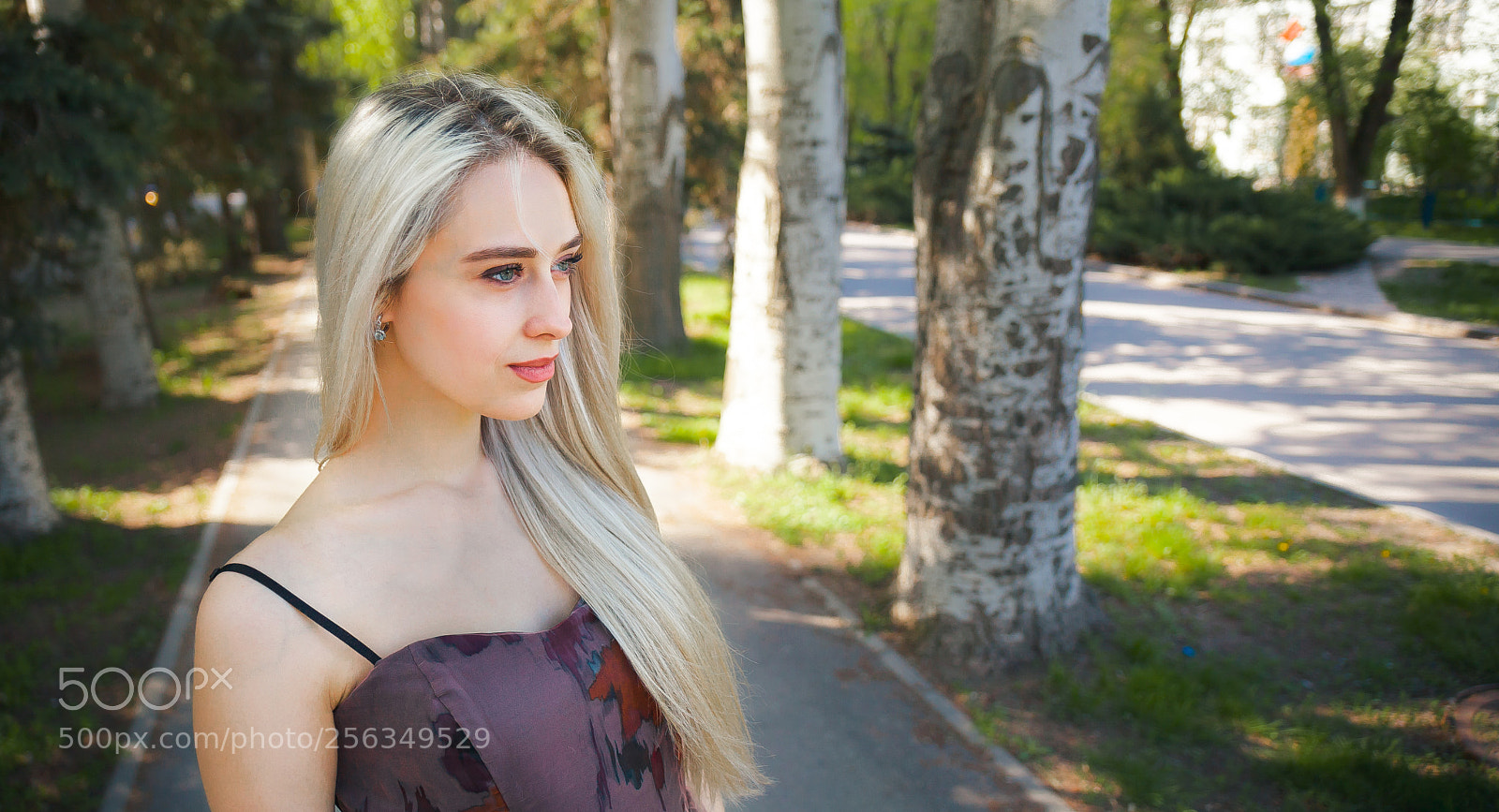 Canon EOS 5D Mark II sample photo. Img photography