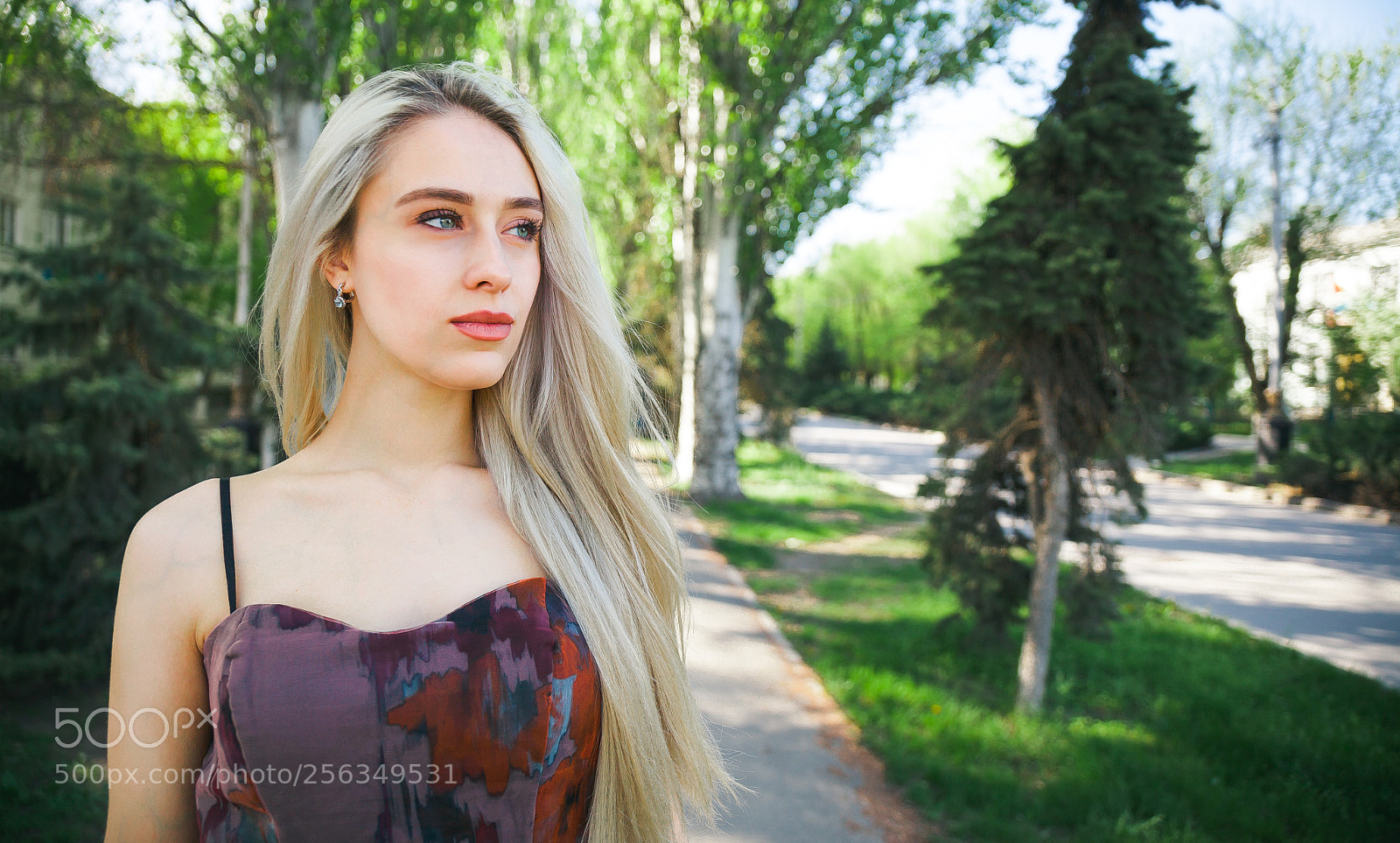 Canon EOS 5D Mark II sample photo. Img photography