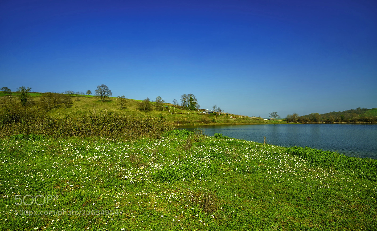 Sony a7R II sample photo. Spring (xiii).. photography