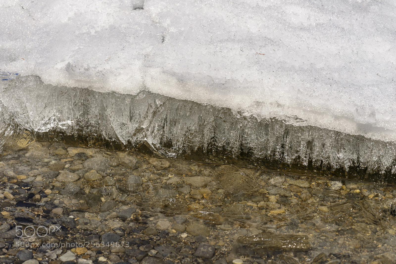 Nikon D800 sample photo. Whiteswan lake ice breakup photography