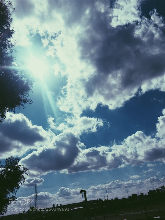 Apple iPhone 6s Plus sample photo. Untitled photography