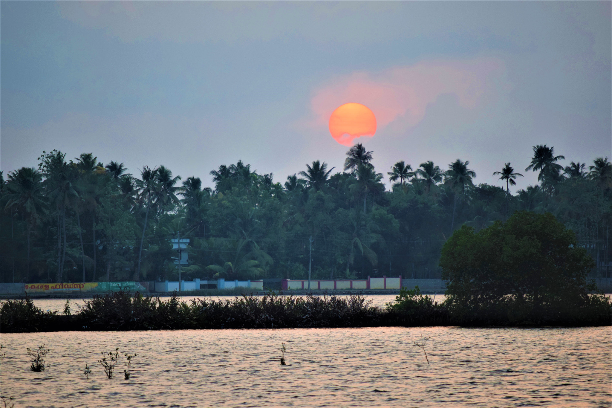 Nikon D3300 sample photo