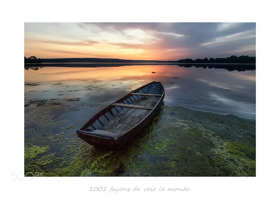 Canon EOS 7D Mark II sample photo. Vioreau photography