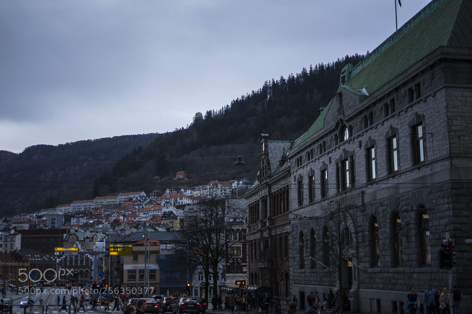 Sony a7 II sample photo. Untitled photography