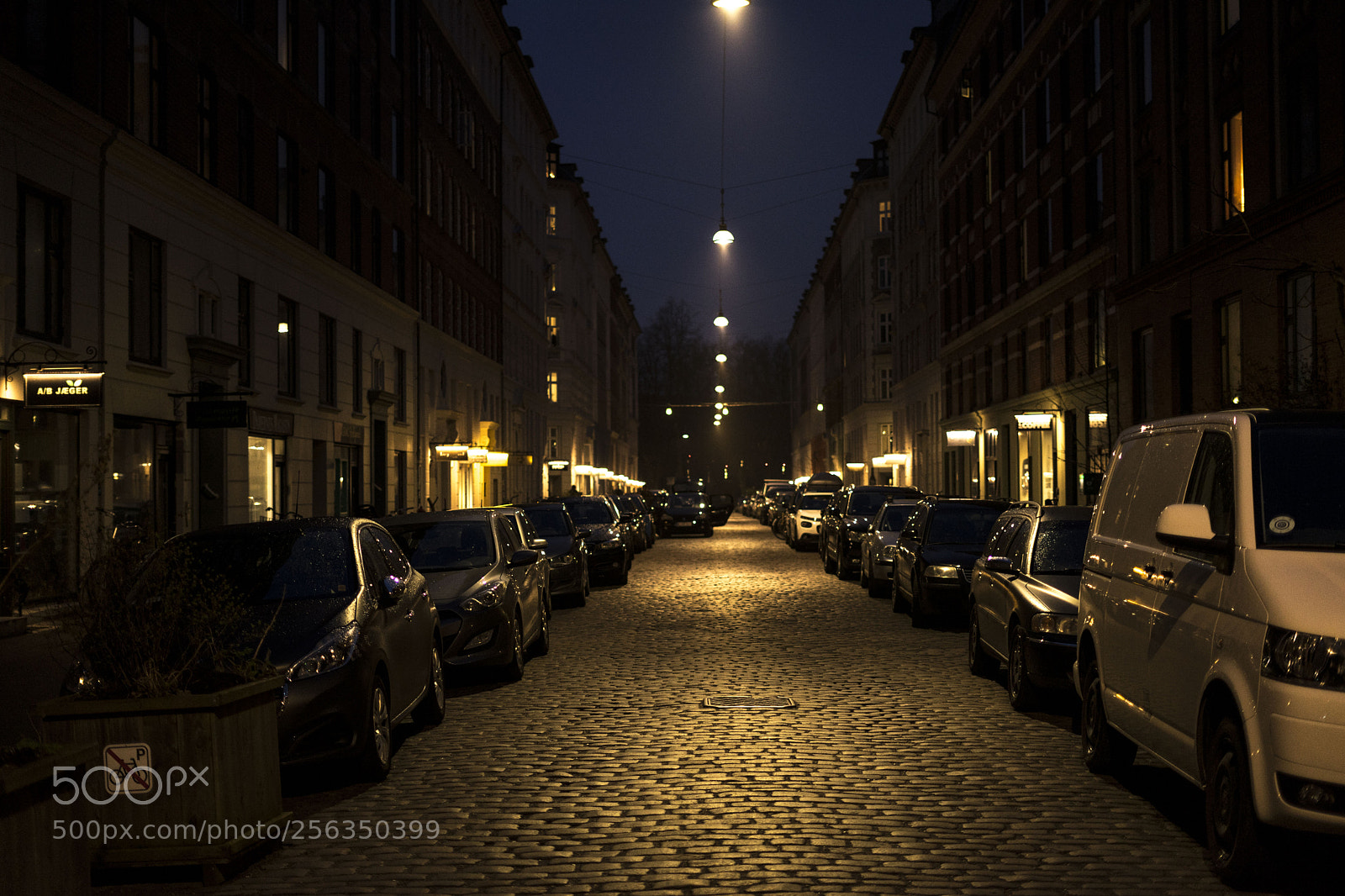 Sony a7 II sample photo. Untitled photography