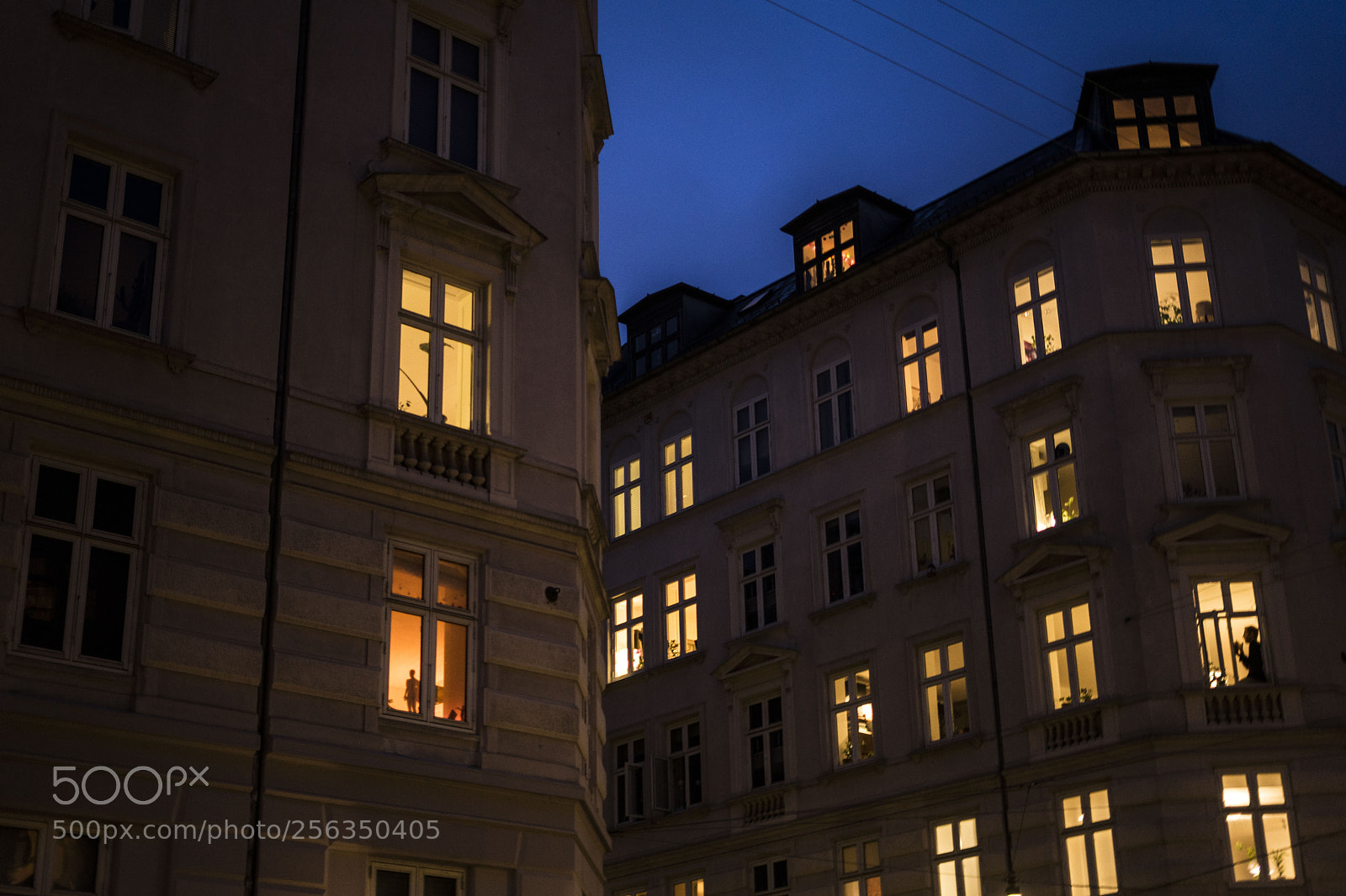 Sony a7 II sample photo. Untitled photography