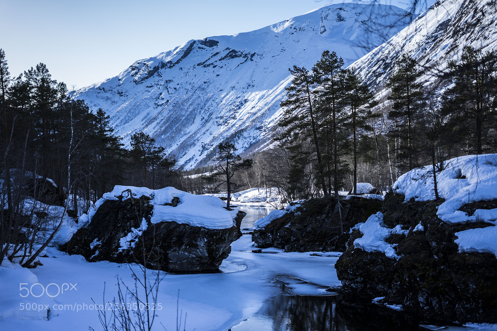 Sony a7 II sample photo. Untitled photography