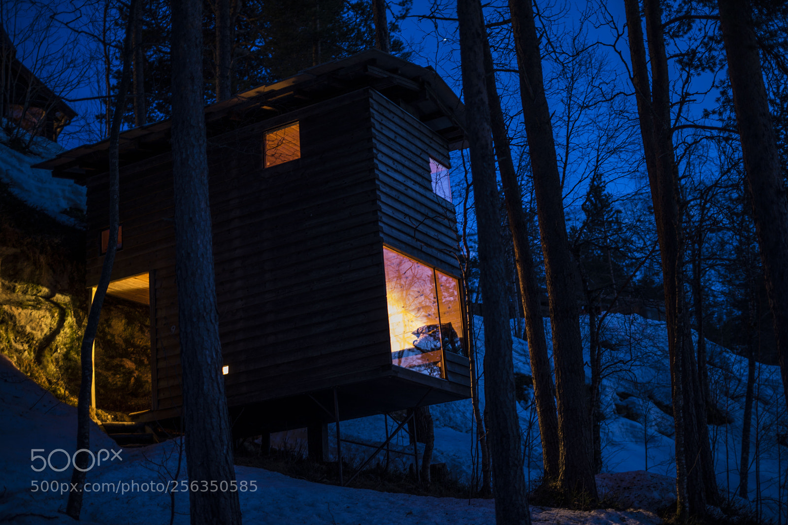 Sony a7 II sample photo. Untitled photography