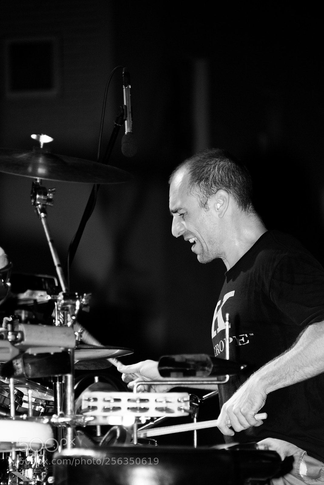 Nikon D750 sample photo. Festival photography