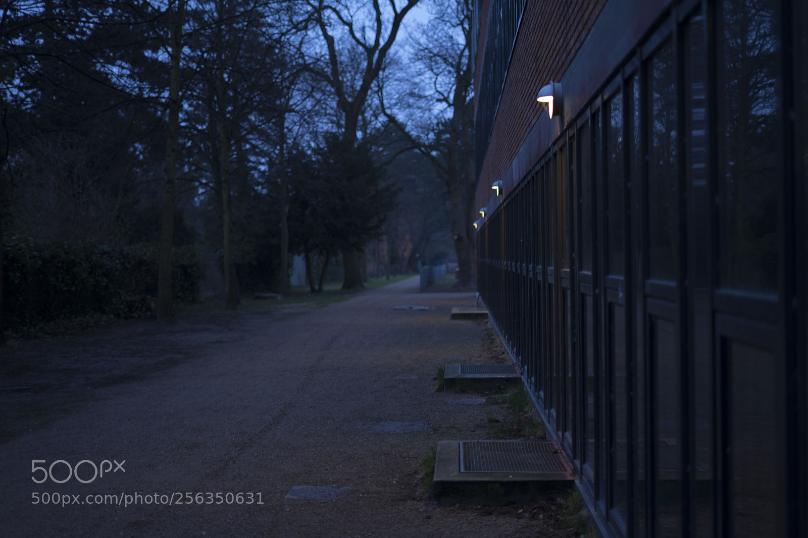 Sony a7 II sample photo. Untitled photography