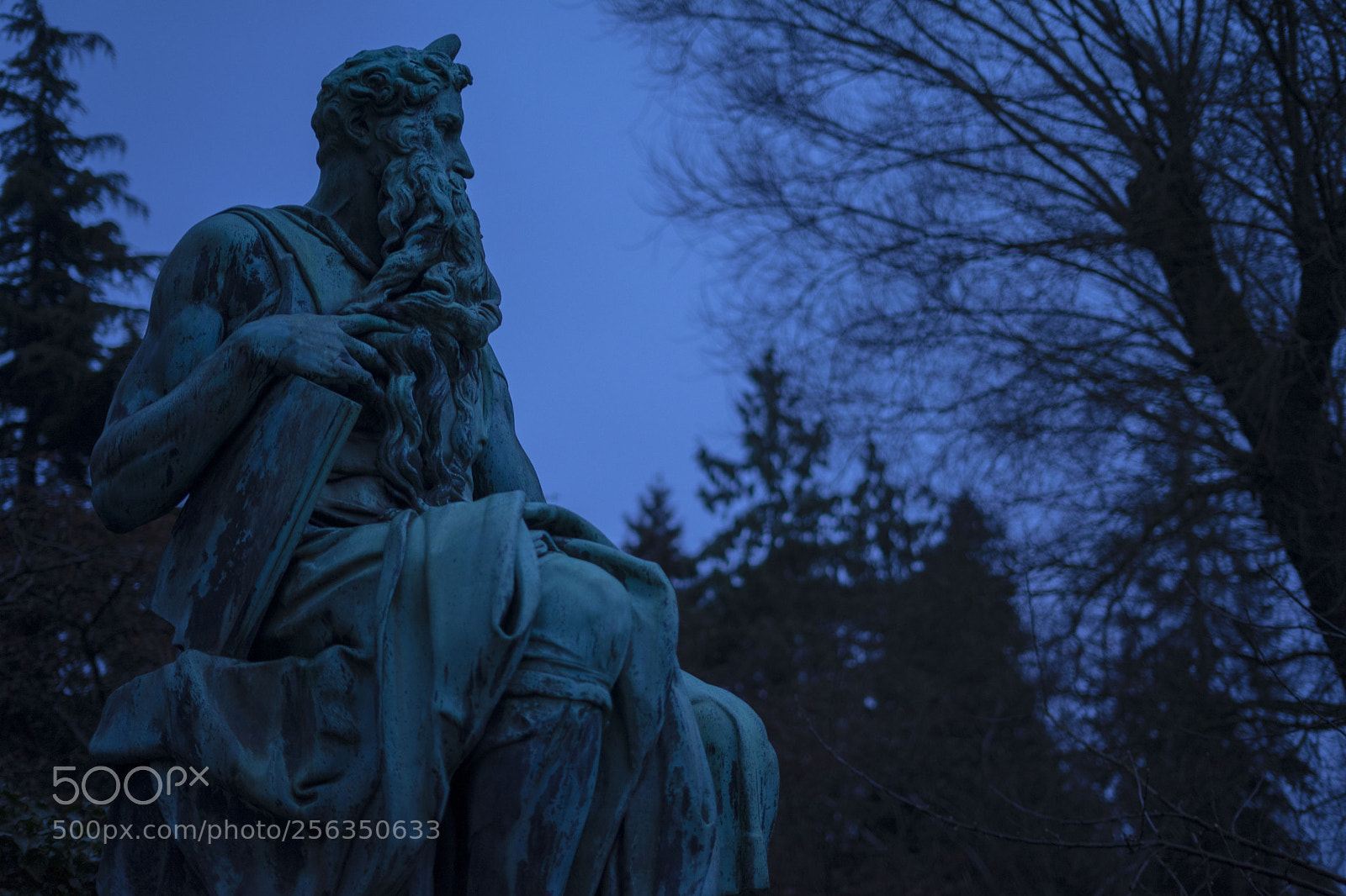 Sony a7 II sample photo. Untitled photography