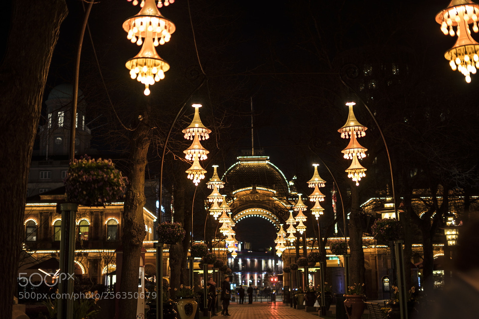 Sony a7 II sample photo. Untitled photography