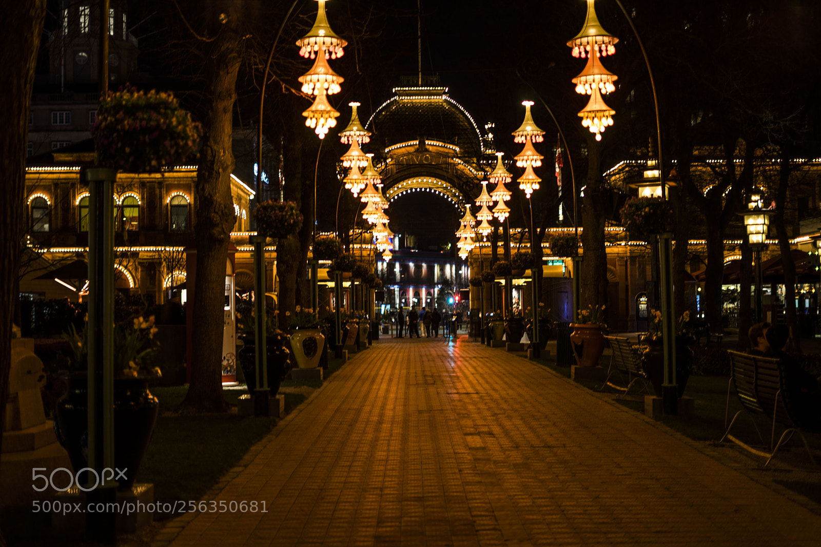 Sony a7 II sample photo. Untitled photography