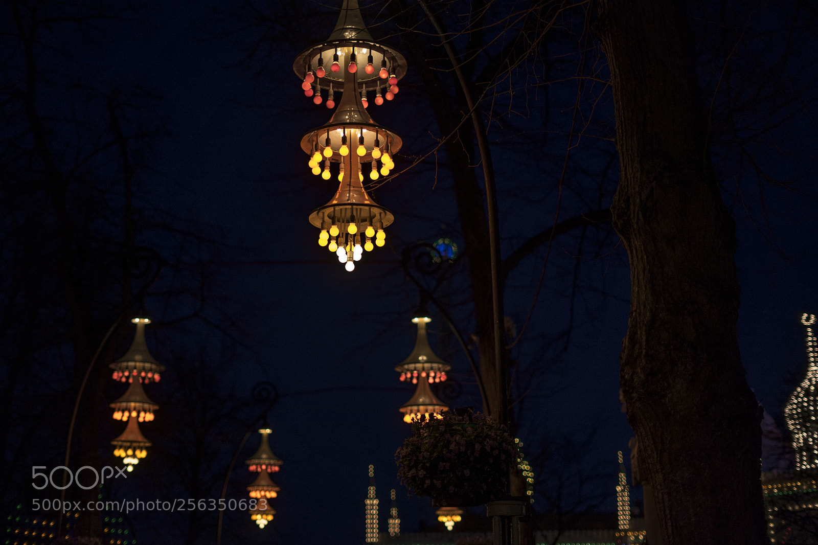 Sony a7 II sample photo. Untitled photography