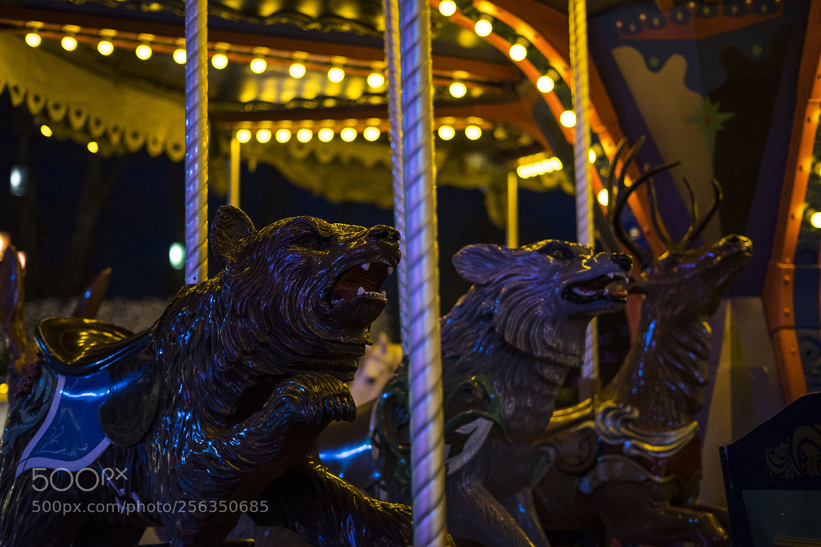 Sony a7 II sample photo. Untitled photography
