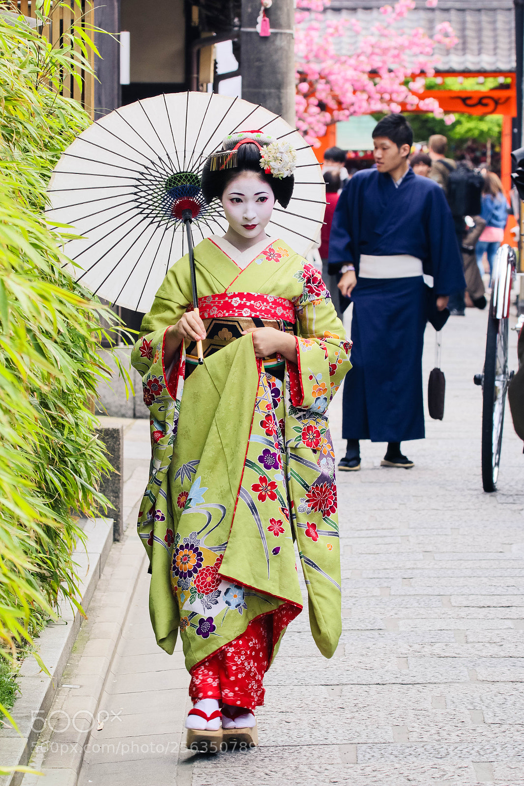 Canon EOS 70D sample photo. The meiko photography
