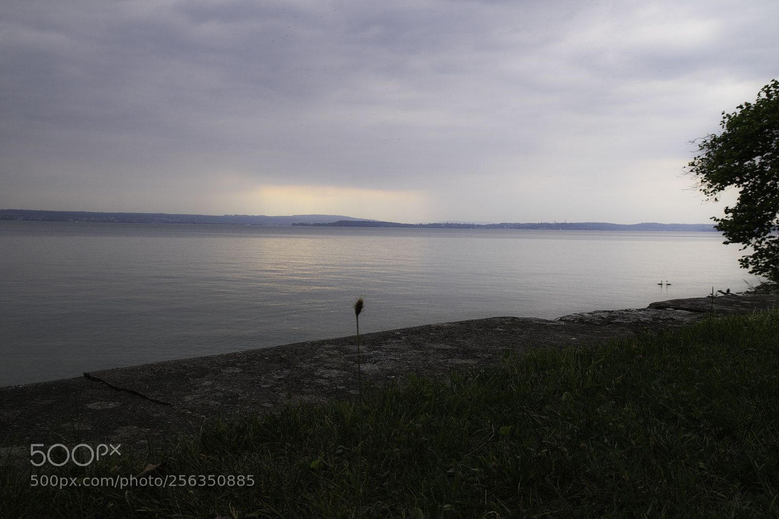 Fujifilm X-T1 sample photo. Lovely silence photography