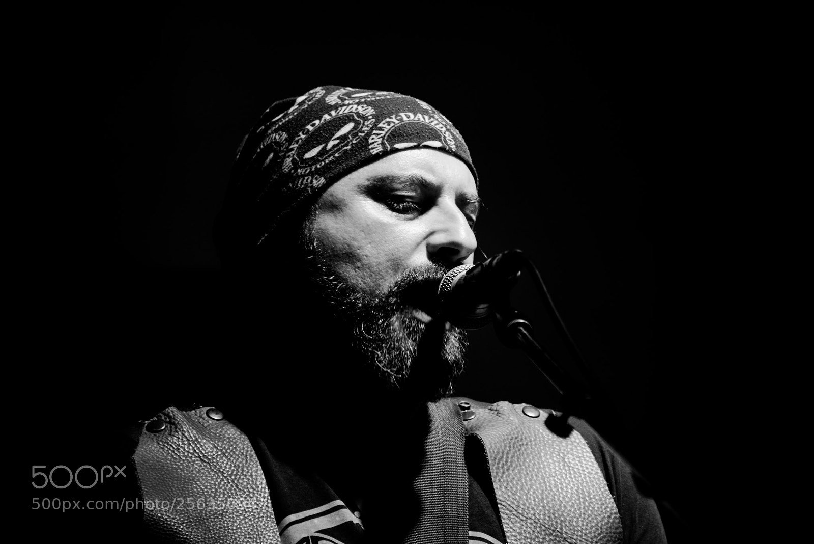 Nikon D750 sample photo. Festival photography