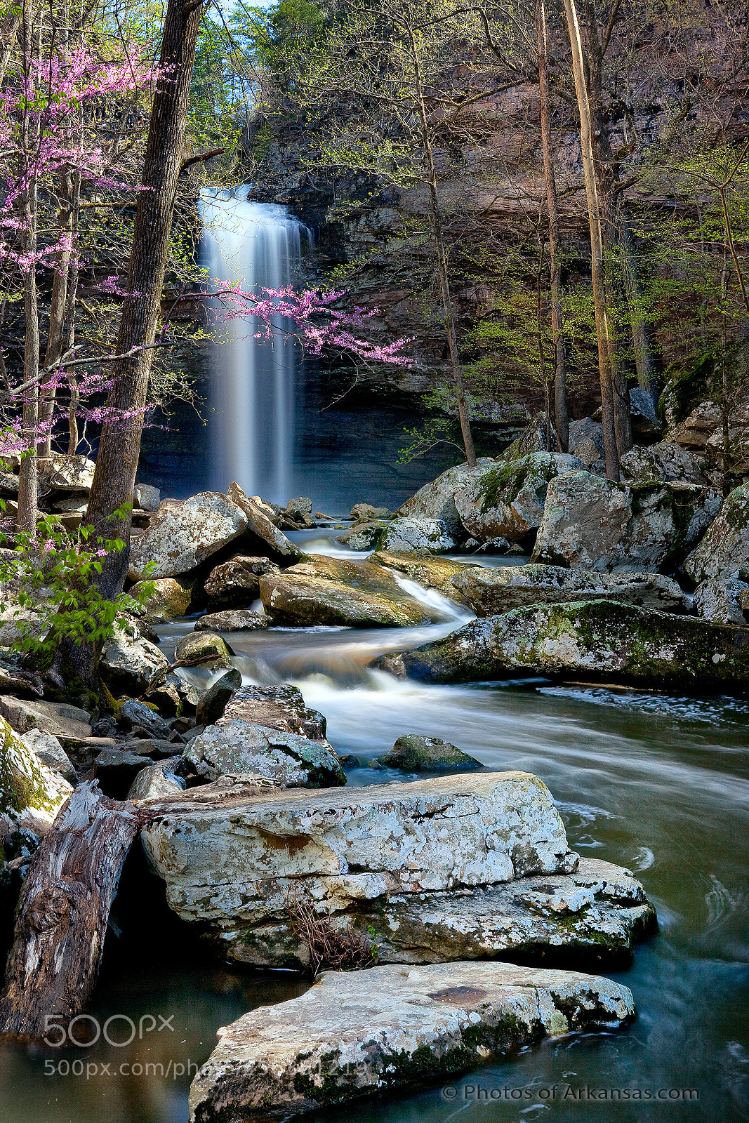 Canon EOS 5D Mark II sample photo. Cc springtime at cedar photography