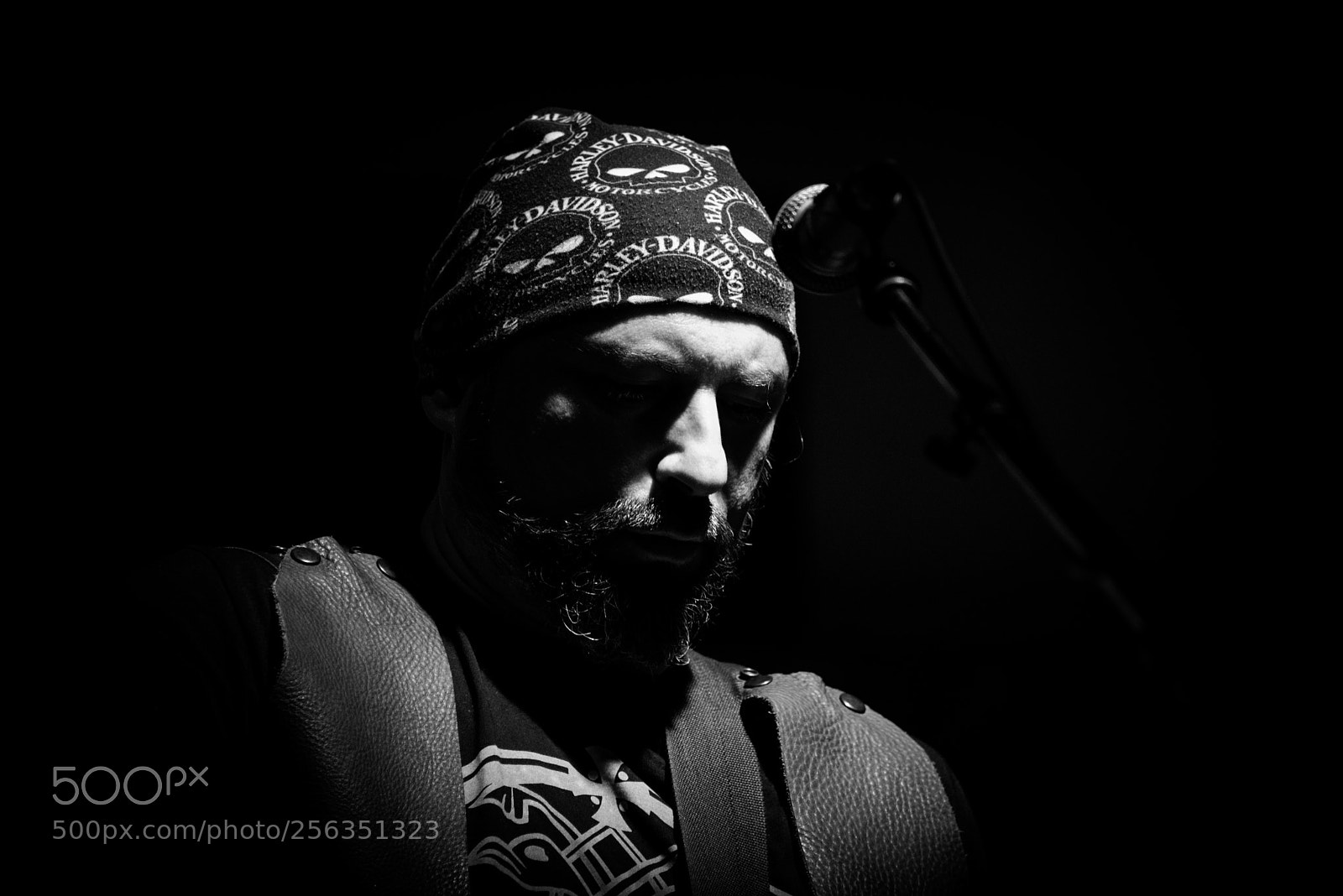 Nikon D750 sample photo. Festival photography
