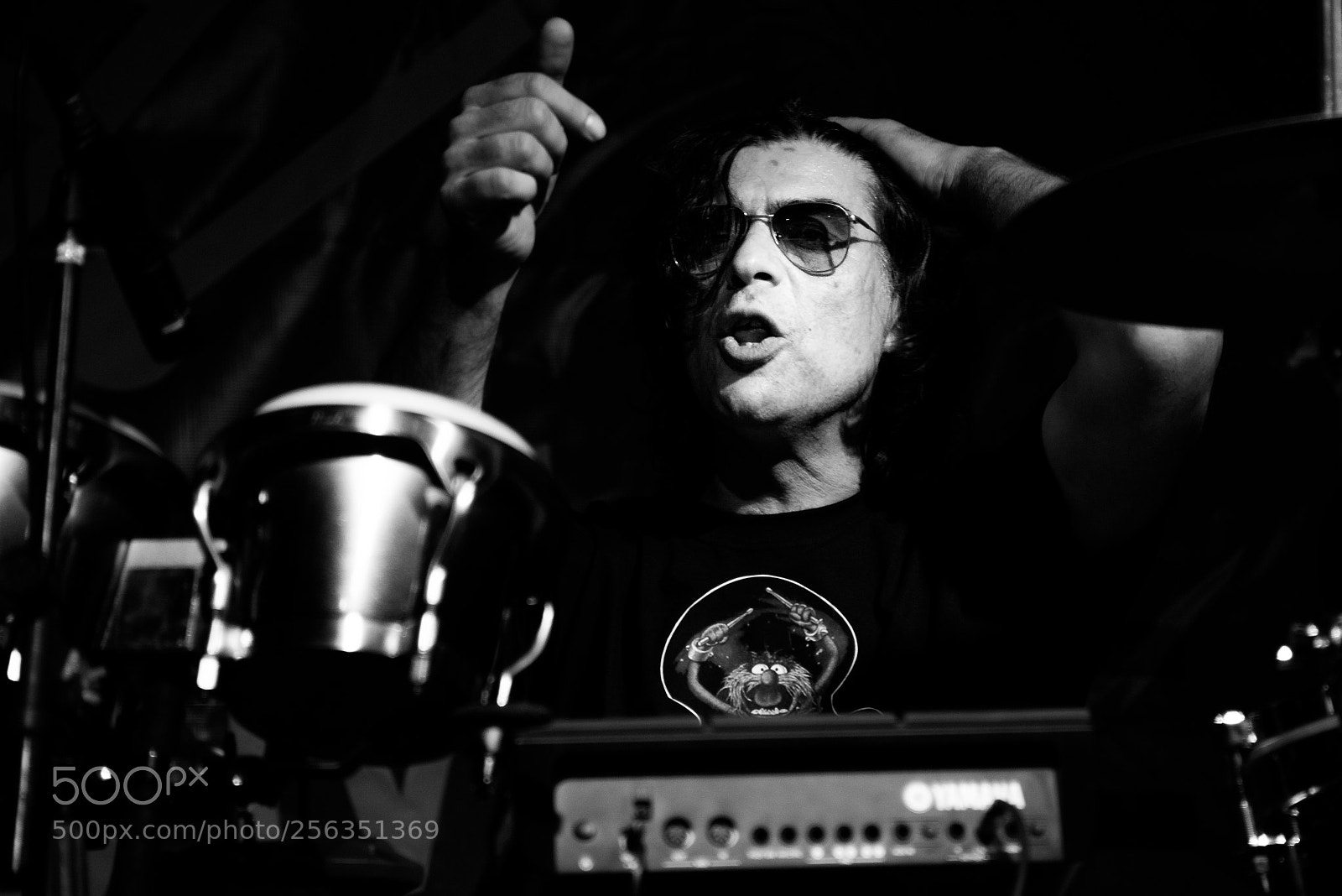 Nikon D750 sample photo. Festival photography