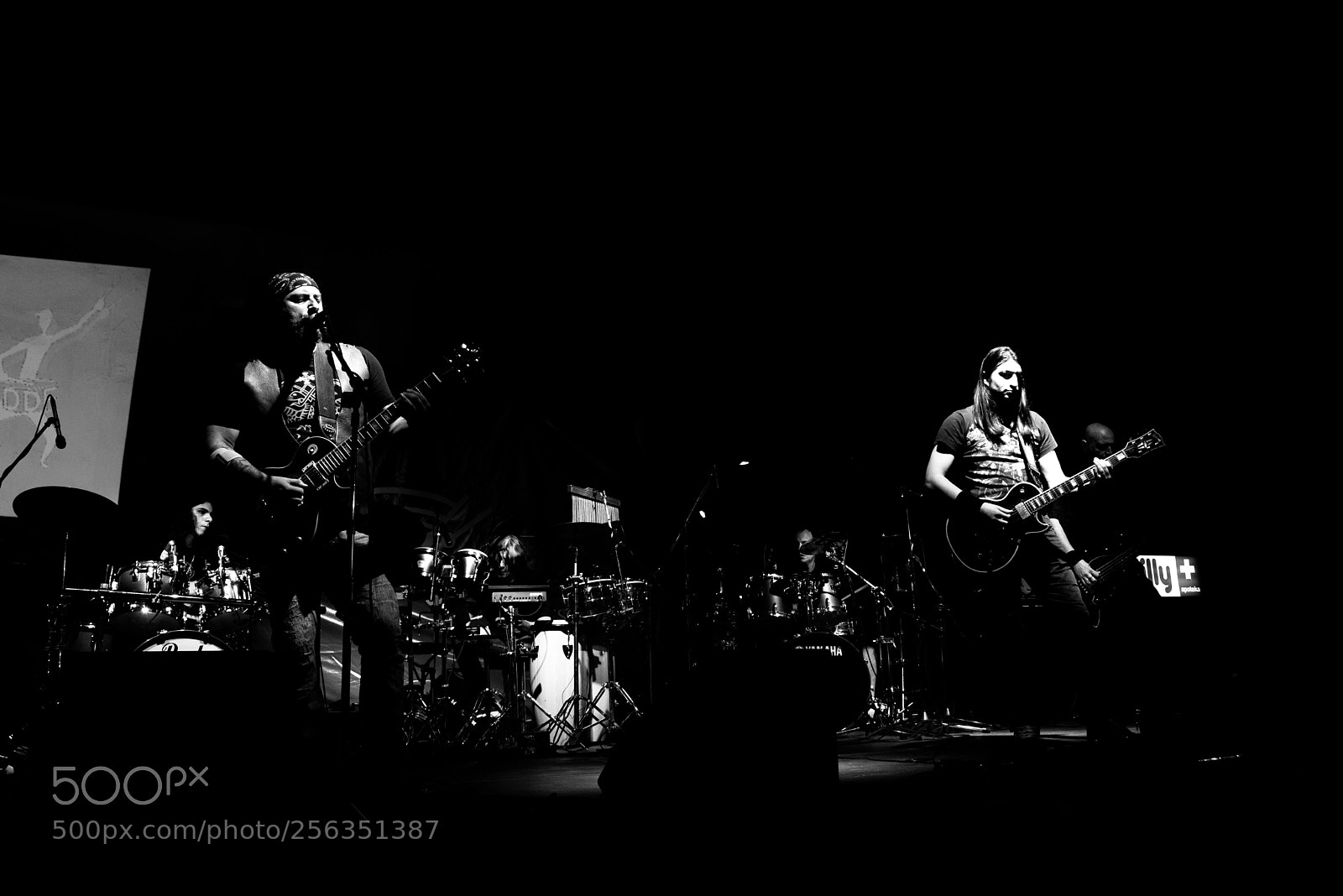 Nikon D750 sample photo. Festival photography