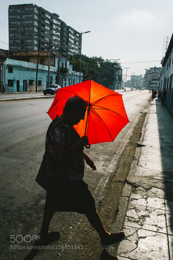 Nikon Df sample photo. In havana photography