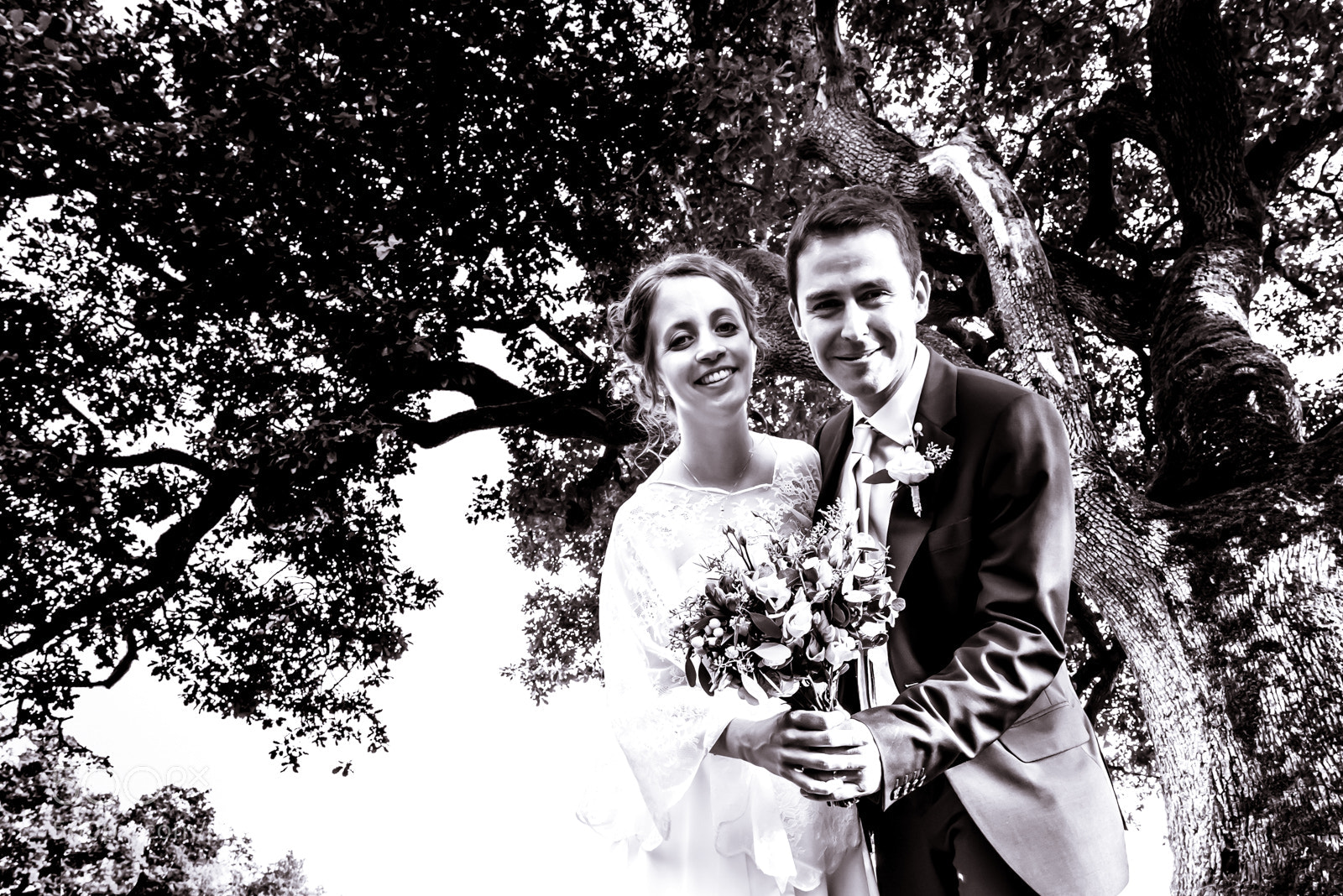 Nikon D600 sample photo. Under the tree photography