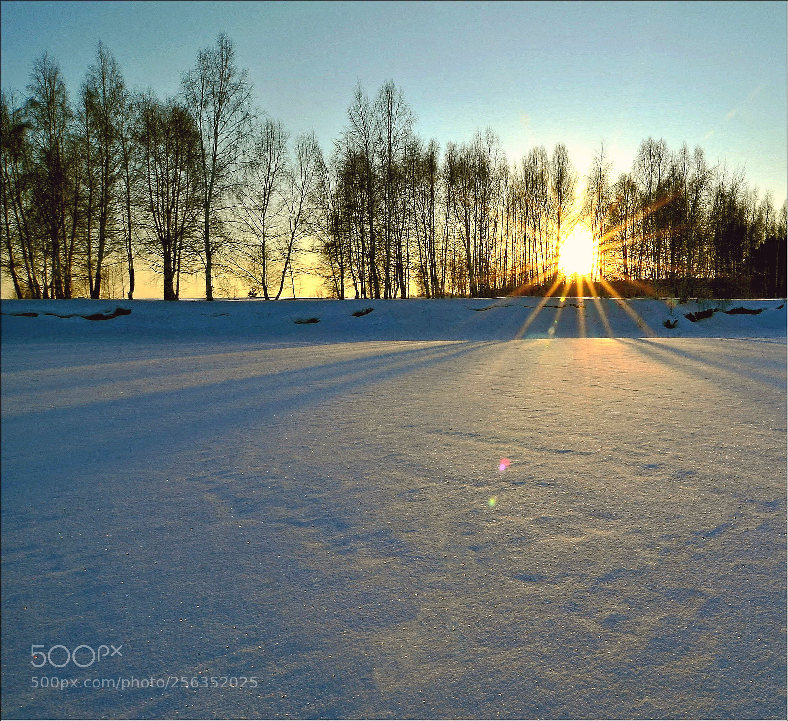 Nikon D7000 sample photo. закат в Ершах photography