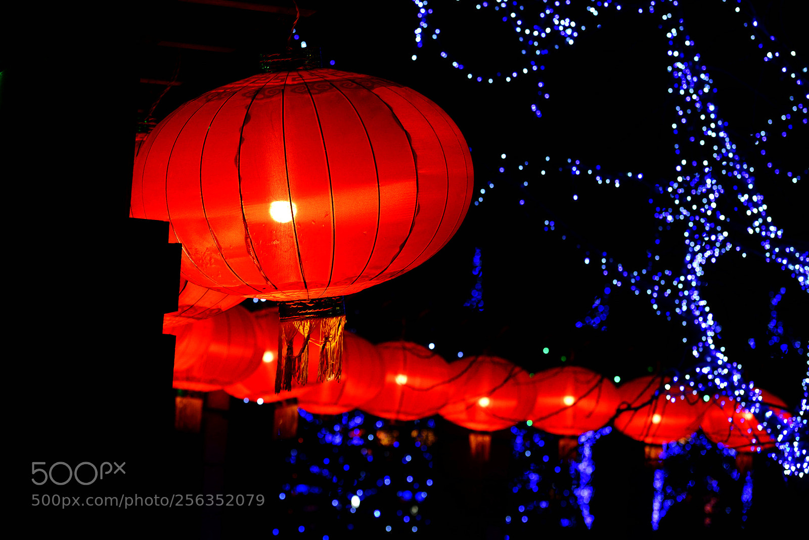 Nikon D800 sample photo. Untitled photography