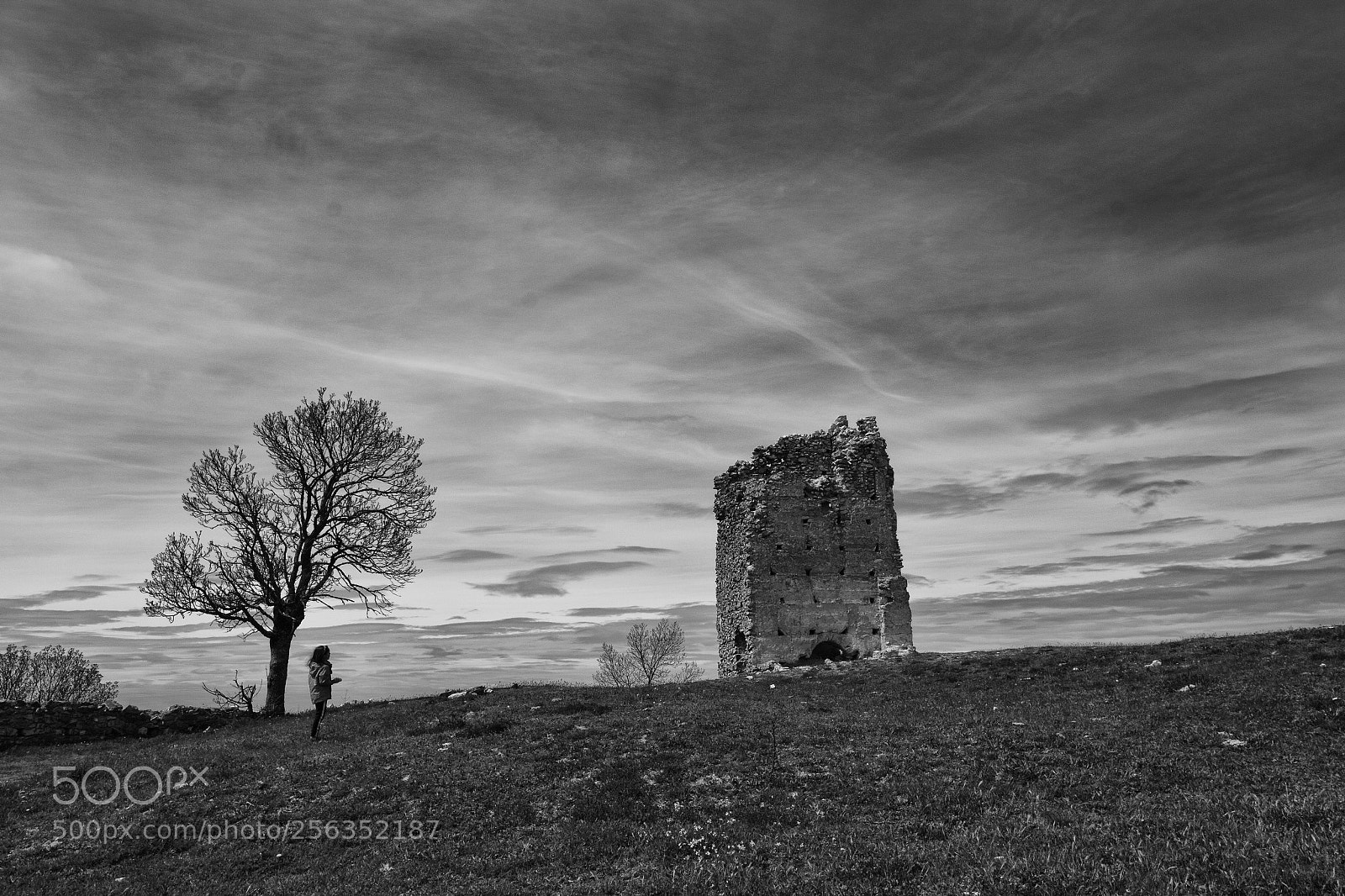 Canon EOS 70D sample photo. The old tower photography